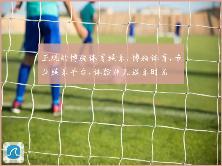正规的博狗体育娱乐,博狗体育,专业娱乐平台,体验非凡逗乐时光