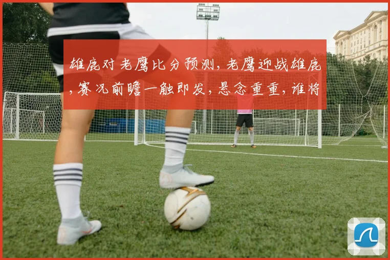 雄鹿对老鹰比分预测,老鹰迎战雄鹿,赛况前瞻一触即发,悬念重重,谁将问鼎
