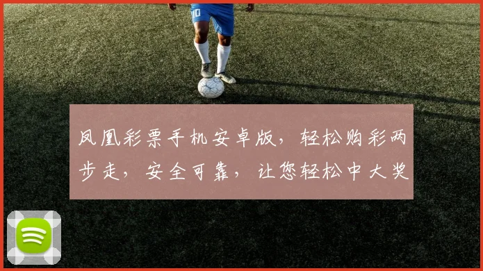 凤凰彩票手机安卓版，轻松购彩两步走，安全可靠，让您轻松中大奖，赢不停